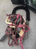 Halsters maat Full, Ophalen of Verzenden, Overige soorten