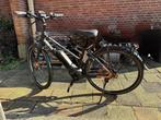 Pegasus E-Bike Bosch performance CX | 6780km | goede staat, Gebruikt, 51 tot 55 cm, 50 km per accu of meer, Ophalen