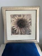 Laura di Angelo Schilderij, Huis en Inrichting, Woonaccessoires | Schilderijen, Tekeningen en Foto's, Minder dan 50 cm, Gebruikt