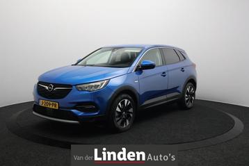 Opel Grandland X 1.5 CDTi Business Executive | Trekhaak | St beschikbaar voor biedingen