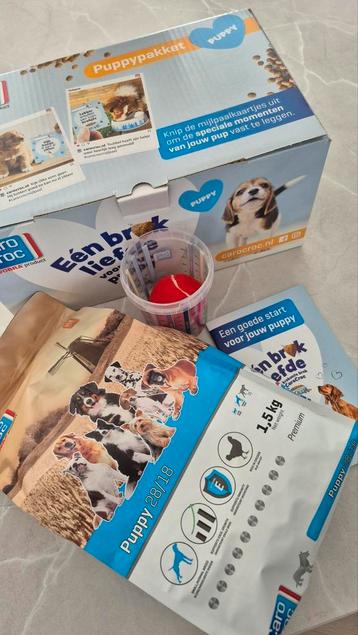 Puppypakket Caro Croc beschikbaar voor biedingen