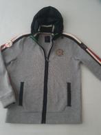 Napapijri vest met capuchon maat L, Maat 52/54 (L), Ophalen of Verzenden, Zo goed als nieuw, Napapijri