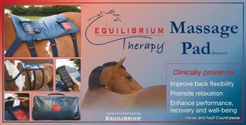 equilibrium  pad (zonder batterij) beschikbaar voor biedingen