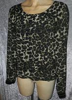 Mooie leuk truitje  van dazzling Maat 40, Kleding | Dames, Ophalen of Verzenden, Zo goed als nieuw, Maat 38/40 (M)