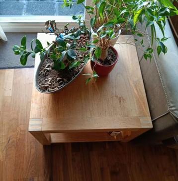 Set van 2 Stijlvolle Houten Bijzettafels beschikbaar voor biedingen