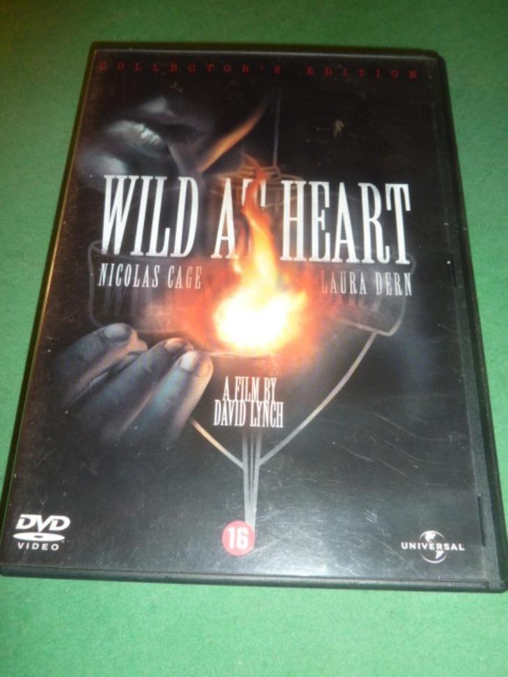 Wild at heart David Lynch dvd, Cd's en Dvd's, Dvd's | Filmhuis, Zo goed als nieuw, Overige gebieden, Alle leeftijden, Verzenden