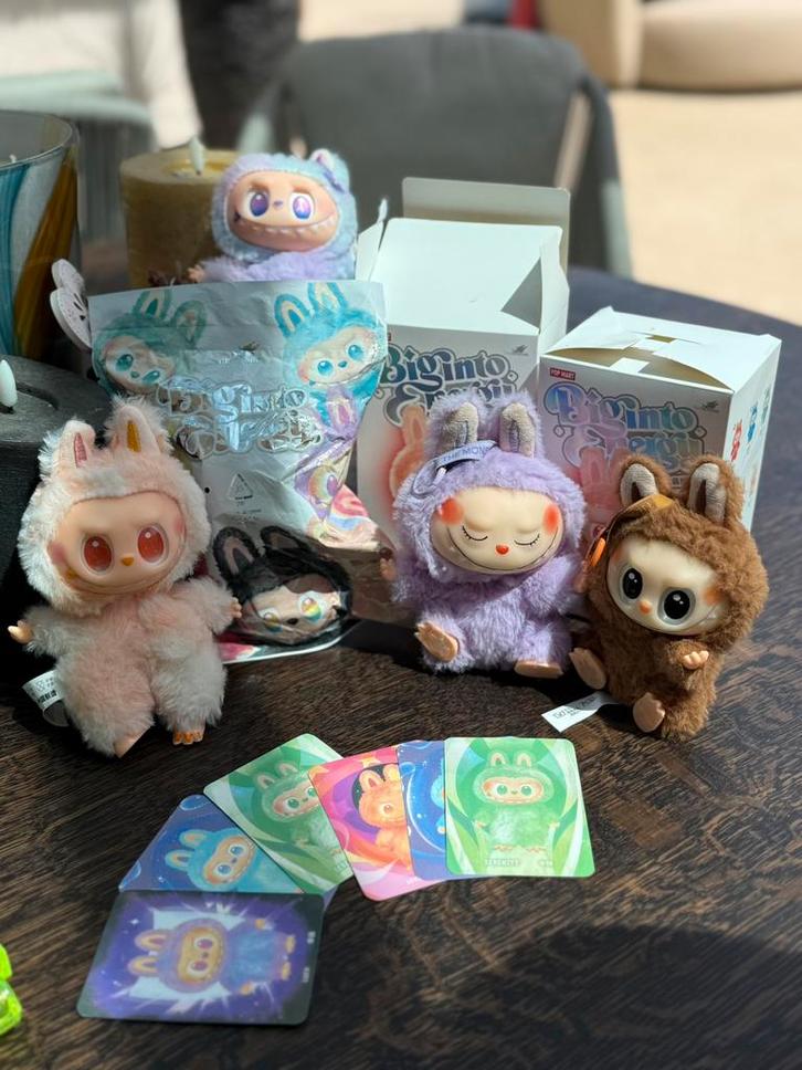 Labubu The Secret, Kinderen en Baby's, Speelgoed | Overig, Zo goed als nieuw, Jongen of Meisje, Ophalen of Verzenden