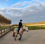 Verzorg paard/pony gezocht!!, Dieren en Toebehoren, Paarden en Pony's | Verzorgingsproducten, Ophalen of Verzenden, Nieuw
