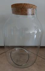 Glazen pot met opening en kurk - planten terrarium, Ophalen, Overige kleuren, Minder dan 50 cm, Glas