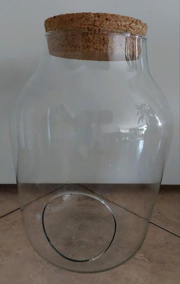 Glazen pot met opening en kurk - planten terrarium beschikbaar voor biedingen