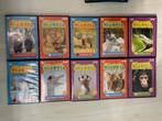 Russische BBC films Happy Animals 11 DVD's in het Russisch, Alle leeftijden, Ophalen of Verzenden, Dieren, Nieuw in verpakking