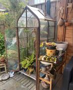 TE KOOP GEVRAAGD : Greenhouse broeikas of muur kas ., Tuin en Terras, Kassen, Ophalen of Verzenden, Glas, Zo goed als nieuw