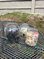 Vintage Knopen Verzameling in Potten, Ophalen, Gebruikt, Knoop of Knopen