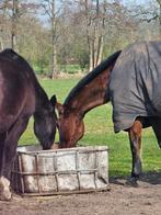 Gezocht 24/7 buiten met schuilstal, Stalling