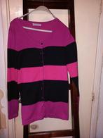 Vest van Setter maat 38, Kleding | Dames, Ophalen of Verzenden, Zo goed als nieuw, Maat 38/40 (M)