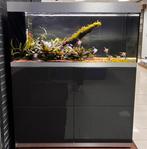 Oase highline 300 compleet met bestand, Dieren en Toebehoren, Vissen | Aquaria en Toebehoren, Ophalen, Zo goed als nieuw, Leeg aquarium