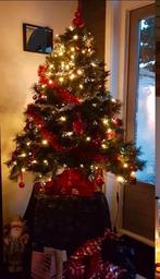 Kerstboom Sofia intratuin met 200 led lichtjes, Ophalen