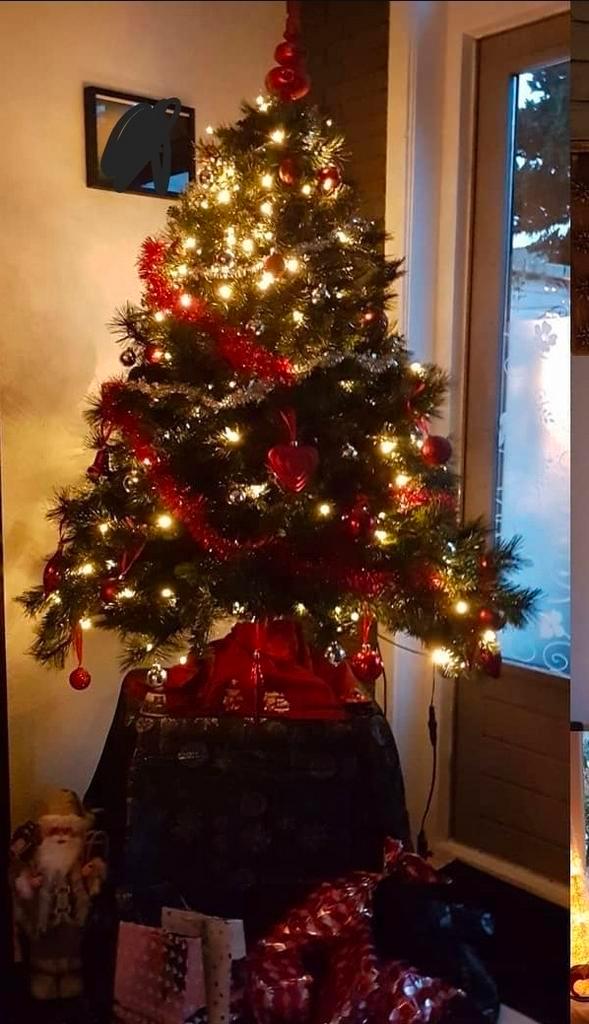 Kerstboom Sofia intratuin met 200 led lichtjes, Diversen, Kerst, Ophalen