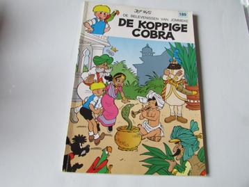 JOMMEKE, DE KOPPIGE COBRA beschikbaar voor biedingen