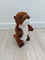 Knuffel aurora otter bruin K8674, Ophalen of Verzenden, Zo goed als nieuw, Beer