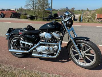 Sportster Xl 883 beschikbaar voor biedingen
