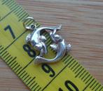 zilveren sterrenbeeld hanger vissen [736], Verzenden, Zo goed als nieuw, Kruis of Symbool, Zilver