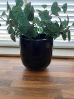 Prachtige binnen pot, Tuin en Terras, Bloempotten, Rond, Binnen, Ophalen of Verzenden, Zo goed als nieuw