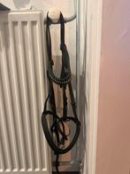 Hoofdstel maat full, Dieren en Toebehoren, Paarden en Pony's | Hoofdstellen en Tuigage, Ophalen of Verzenden, Zo goed als nieuw