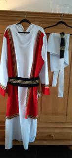 carnavalskleding, Ophalen of Verzenden, Gedragen, Carnaval