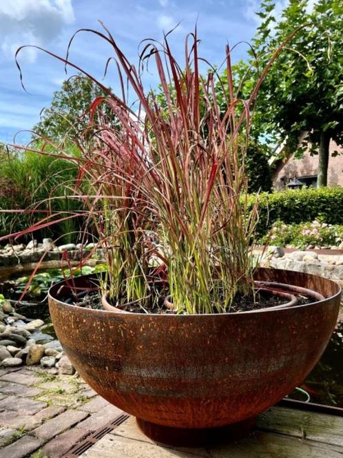 cortenstaal bloembak, plantenbak, bolvorm, rond, Tuin en Terras, Bloembakken en Plantenbakken, Nieuw, Metaal, Binnen, Balkon, Tuin