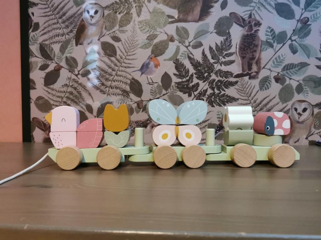 Little dutch trein, Ophalen of Verzenden, Zo goed als nieuw