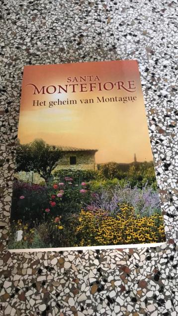 Santa Montefiore Het geheim van Montague