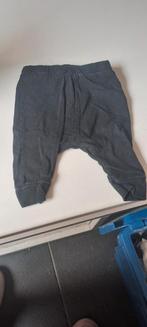 Zgn broekje 44, Kinderen en Baby's, Babykleding | Prematuur, Broekje, Jongetje of Meisje, Ophalen of Verzenden, Zo goed als nieuw