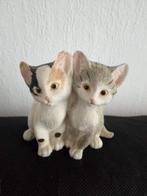 2 Lieve Kittens, Ophalen of Verzenden, Nieuw, Dier