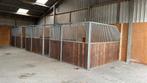 Paardenboxen te huur !!, Dieren en Toebehoren, Stalling en Weidegang, Weidegang, 4 paarden of pony's of meer