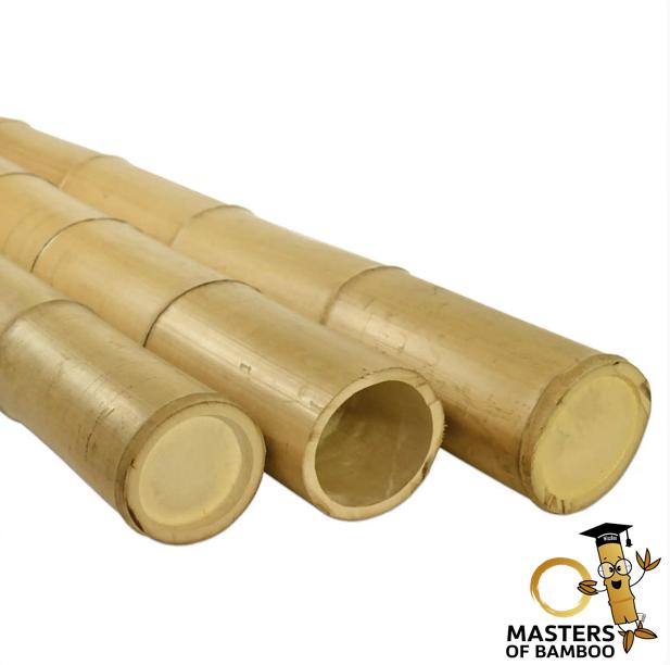 Bamboepalen en bamboestokken laagste prijs Garantie!, Tuin en Terras, Palen, Balken en Planken, Ophalen of Verzenden, Nieuw, 250 cm of meer