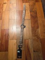 Hondenhalsband Jack and Vanilla, Dieren en Toebehoren, Ophalen of Verzenden, Nieuw