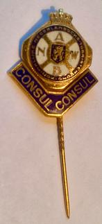 Speldje: ANWB Consul. Zeldzaam., Verzamelen, Ophalen of Verzenden, Zo goed als nieuw