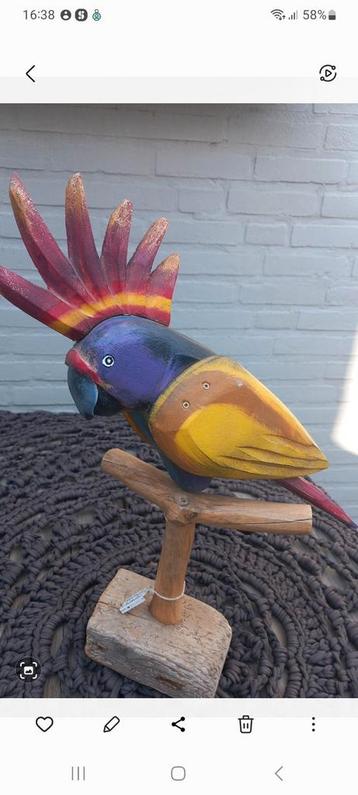 Papegaai ( hout ) beschikbaar voor biedingen