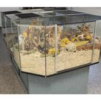 Knaagdieren eiland, Ophalen, 110 cm of meer, Overige typen, Nieuw