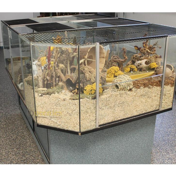 Knaagdieren eiland, Dieren en Toebehoren, Knaagdieren en Konijnen | Hokken en Kooien, Nieuw, Overige typen, 90 cm of meer, 110 cm of meer