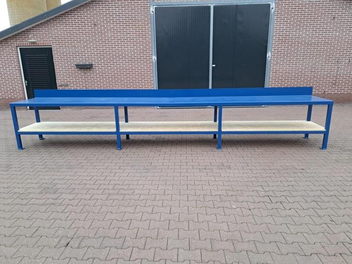 Werkbank, Doe-het-zelf en Verbouw, Werkbanken, Gebruikt, 170 cm of meer, Bankschroef, Ophalen of Verzenden