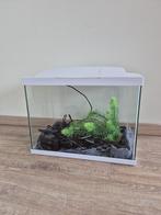 Aquarium, Dieren en Toebehoren, Vissen | Aquaria en Toebehoren, Ophalen, Zo goed als nieuw, Leeg aquarium