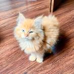 Prachtige Maine Coon / BKH Mix Kittens (nog 2 beschikbaar), Dieren en Toebehoren, Meerdere dieren, Gechipt, 0 tot 2 jaar