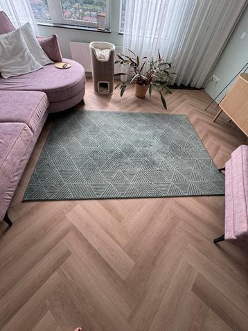Tapijt / vloerkleed Stenlille Ikea (170x240)