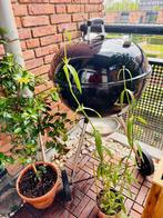 Weber kettle barbecue (bbq) - 57cm, Tuin en Terras, Ophalen, Nieuw, Weber