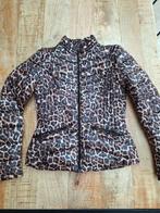 Panterprint jas dames, Kleding | Dames, Jassen | Winter, Bruin, Nieuw, Ophalen of Verzenden, Coolcat