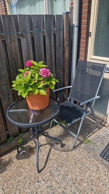 Klapbare tuinstoel  beschikbaar voor biedingen
