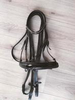 Passier hoofdstel - lak - Full, Dieren en Toebehoren, Ophalen of Verzenden, Gebruikt, Overige soorten