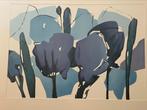 Mooie zeefdruk, Antiek en Kunst, Kunst | Litho's en Zeefdrukken, Ophalen
